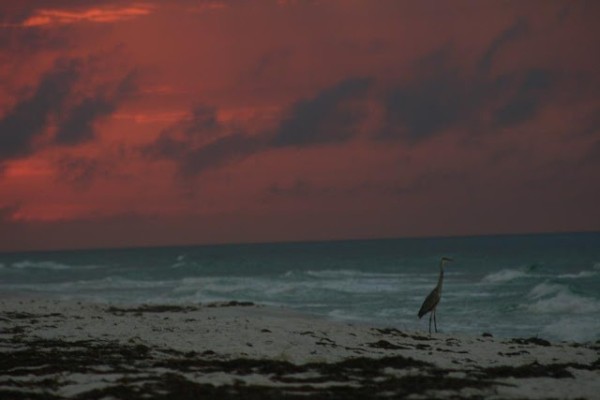 Thursday Sunrise Beach and Surf Report 04/05/12