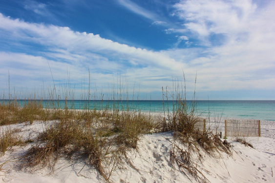 Friday Afternoon Beach and Surf Report 01/04/13