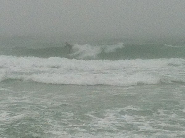 Wednesday Midday Pensacola Beach Surf Report 01/09/13