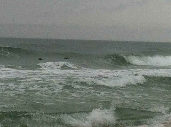 Wednesday Midday Beach and Surf Report 01/16/13