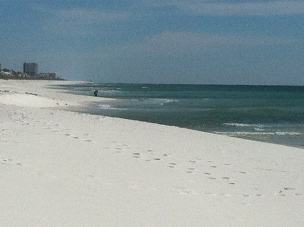 Friday Midday Beach and Surf Report 01/18/13