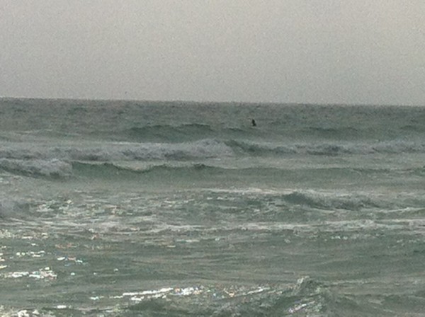 Monday Midday Beach and Surf Report 01/28/13