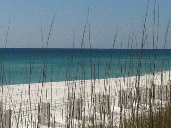 Friday Midday Beach and Surf Report 02/15/13