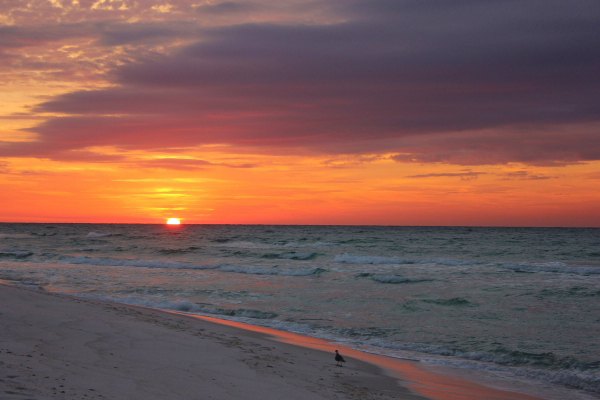 Thursday Sunrise Beach and Surf Report 02/21/13