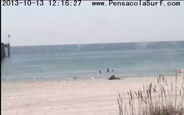 Sunday Midday Beach and Surf Report 10/13/13