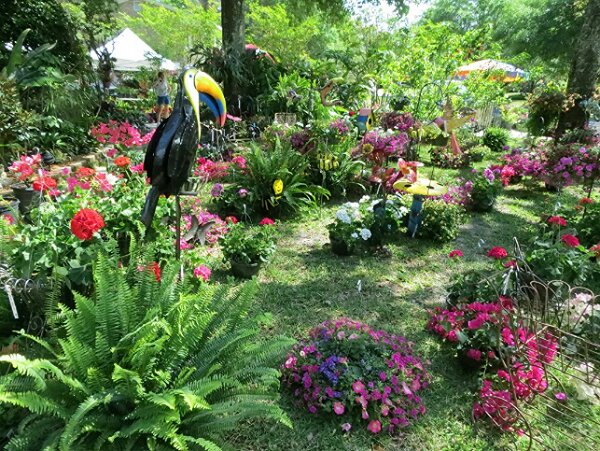 Pensacola Garden Club Plant Sale Today and Saturday!!!