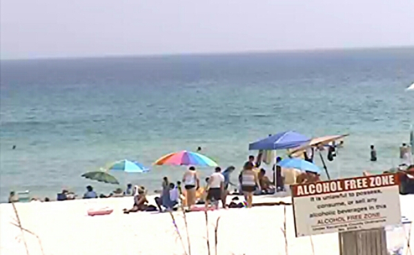 Saturday Afternoon Beach and Surf Report 08/02/14