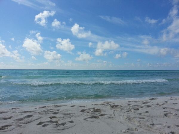 Thursday Midday Beach and Surf Report 10/09/14