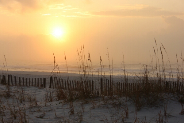 Monday Sunrise Beach and Surf Report 11/24/14