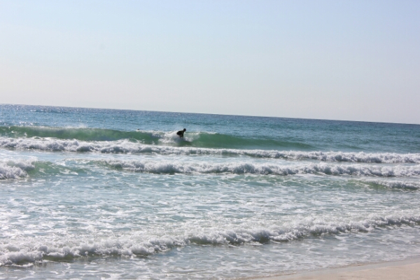 Tuesday Midday Beach and Surf Report 12/16/14