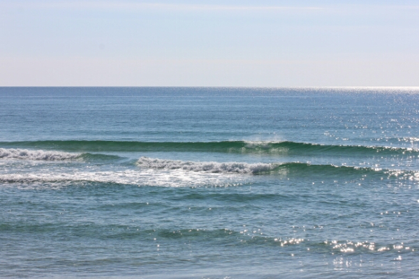 Wednesday Midday  Beach and Surf Report 01/21/15