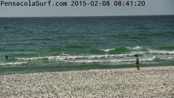 Sunday Morning Beach and Surf Report 02/08/15