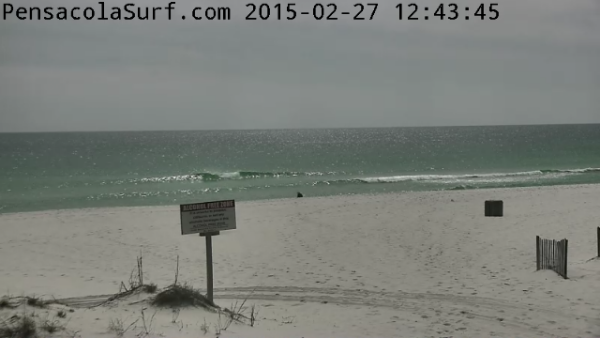 Friday Afternoon Beach and Surf Report 02/27/15