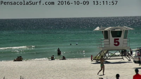 Sunday Afternoon Beach and Surf Report 10/09/16