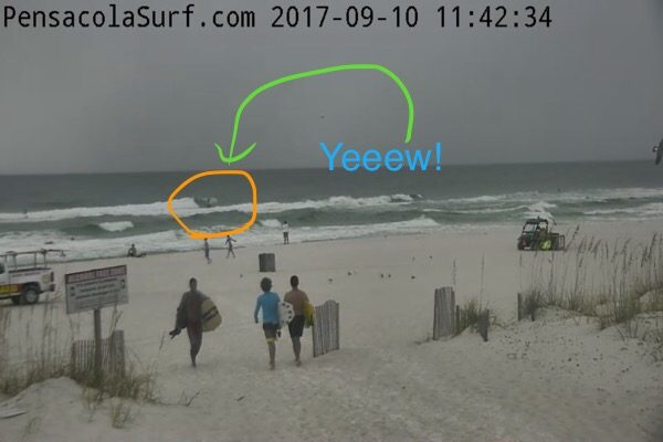 Sunday Noon Beach and Surf Report 9/10/17