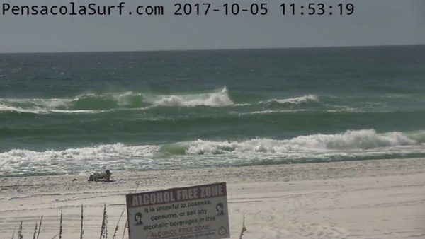 Thursday Noon Beach and Surf Report 10/5/17