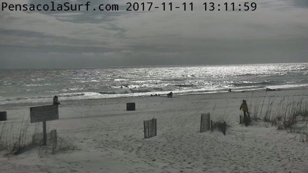 Saturday Afternoon Beach and Surf Report 11/11/17