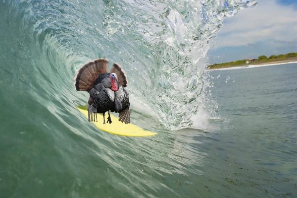 Thanksgiving Morning Beach and Surf Report 11/23/17