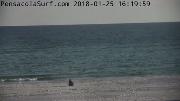 Thursday Evening Beach and Surf Report 1/25/18