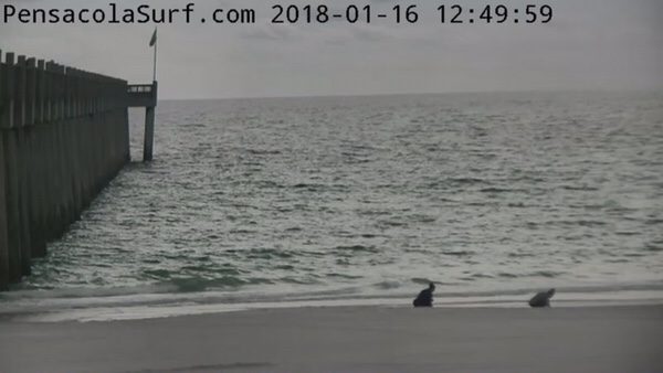 Tuesday Afternoon Pre-Florida-Snowpocalypse Beach and Surf Report 1/16/18