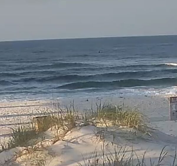Thursday Morning 5/8/25