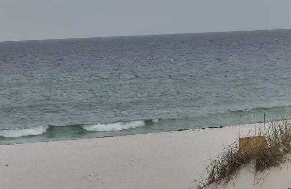 Thursday Morning 5/29/25