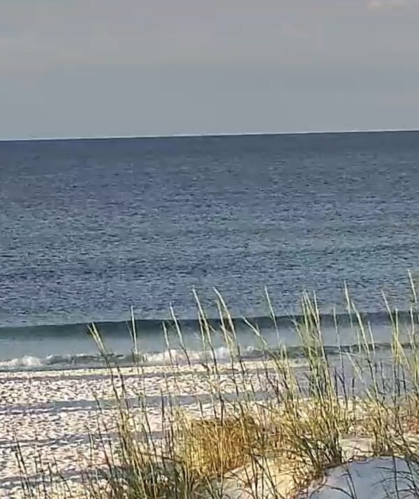 Saturday Morning 5/31/25