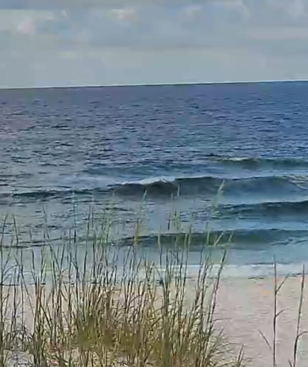 Thursday Morning 6/5/25