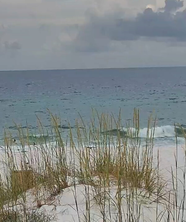 Wednesday Morning 6/11/25