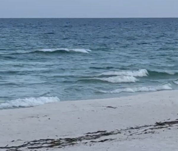 Tuesday Morning 6/16/25