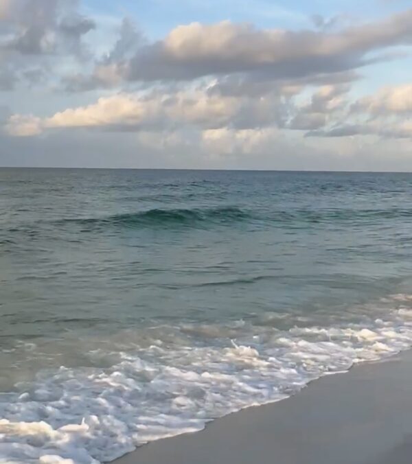 Tuesday Morning 6/24/25