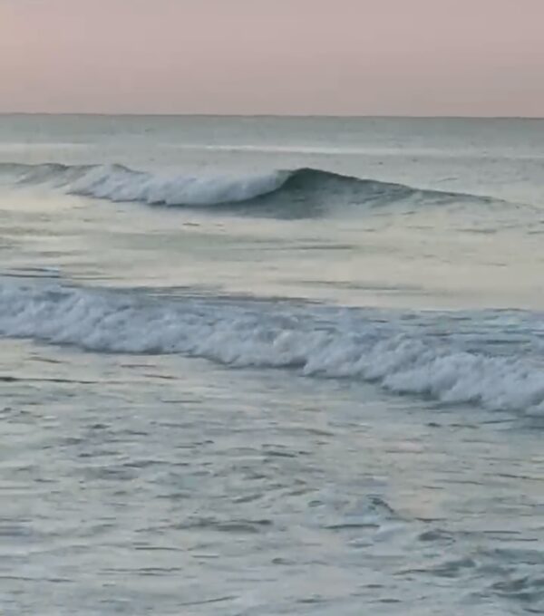 Wednesday Morning 6/25/25