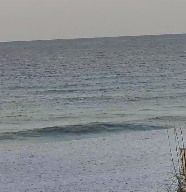 Tuesday Morning 7/1/2025