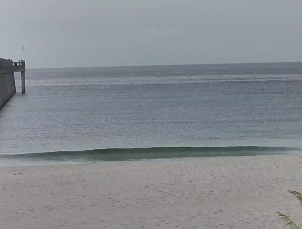 Wednesday Morning 7/2/25