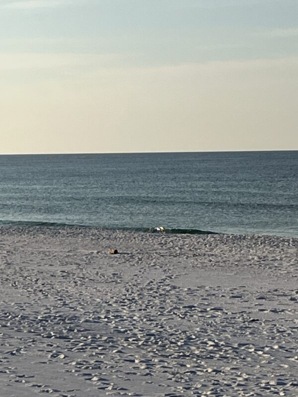 Thursday Morning 7/3/25