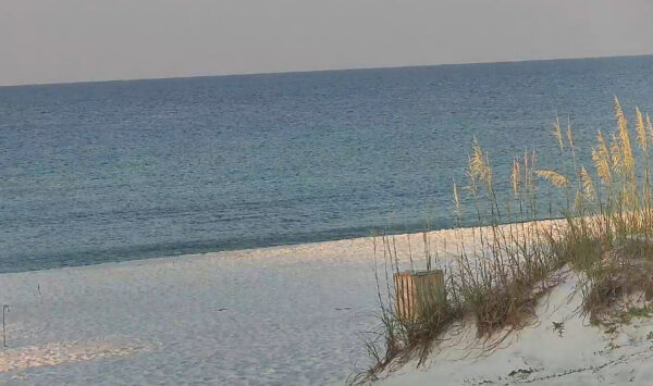 Saturday Morning 7/5/25