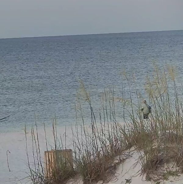 Sunday Morning 7/6/25