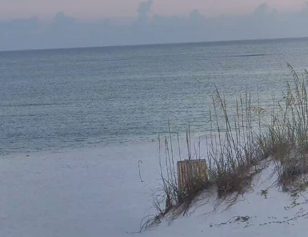 Monday Morning 7/7/25