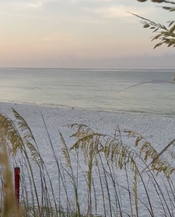 Saturday Morning 7/12/25