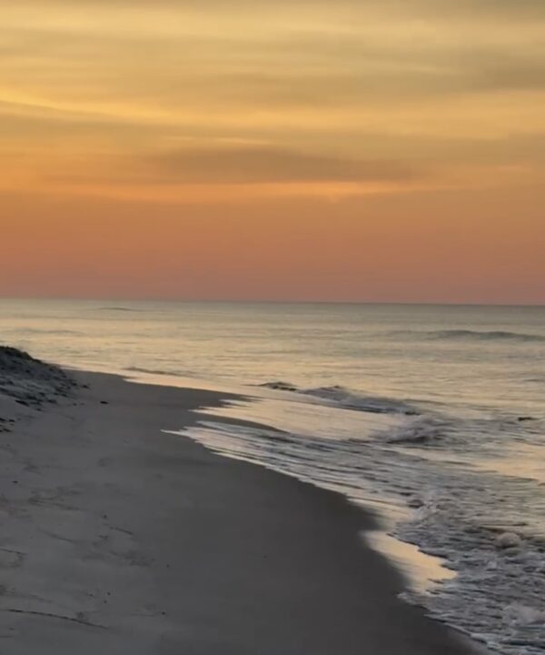 Tuesday Morning 7/15/25