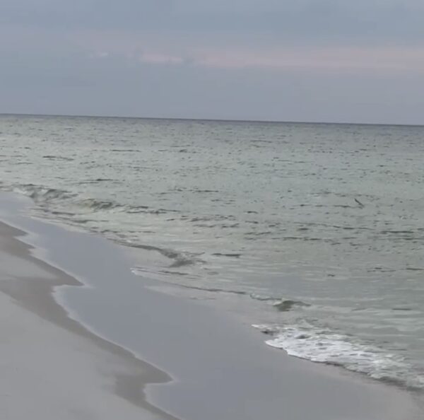 Wednesday Morning 7/16/25