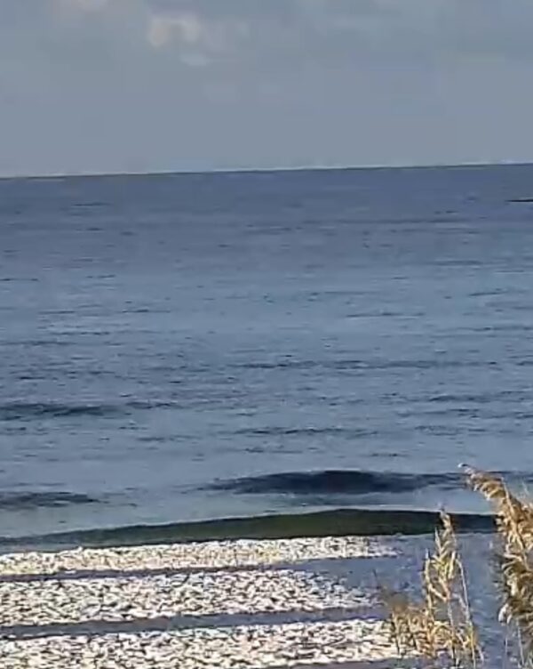 Sunday Morning 7/20/25