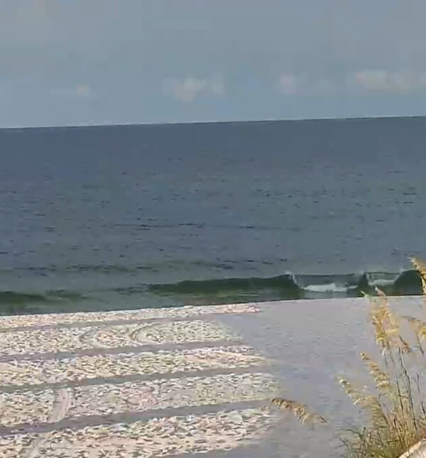 Tuesday Morning 7/22/25