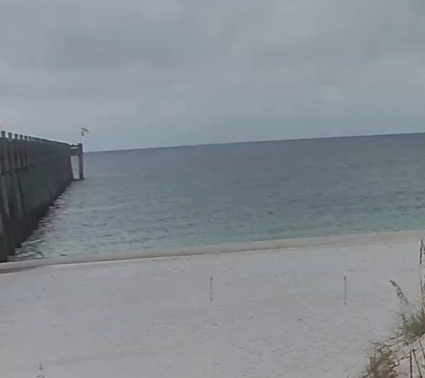 Monday Morning 8/4/25