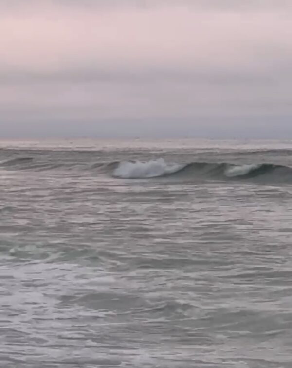 Tuesday Morning 8/5/25