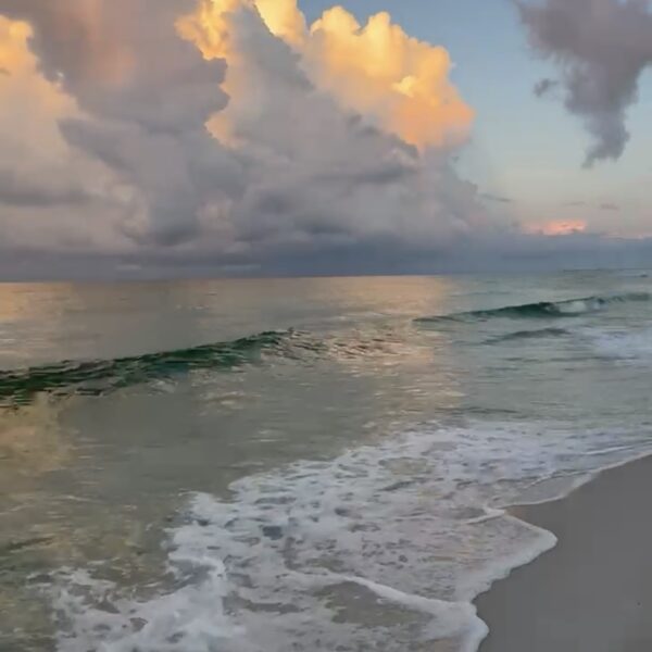 Wednesday Morning 8/6/25