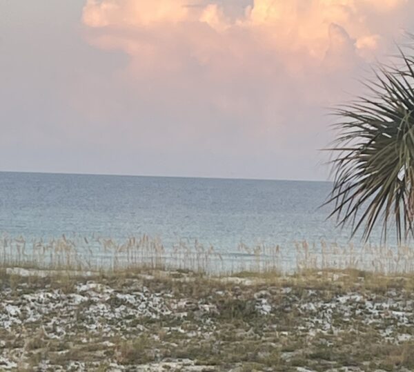 Thursday Morning 8/7/25