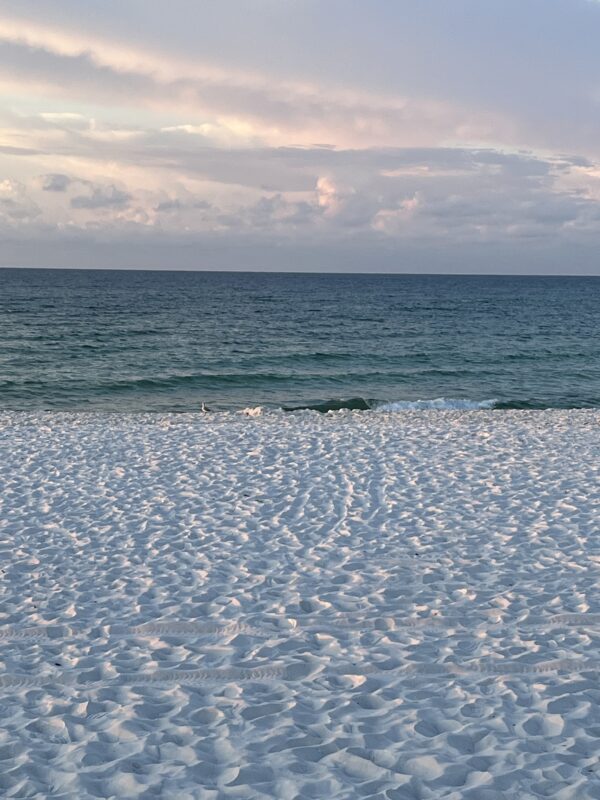 Friday Morning 8/8/25