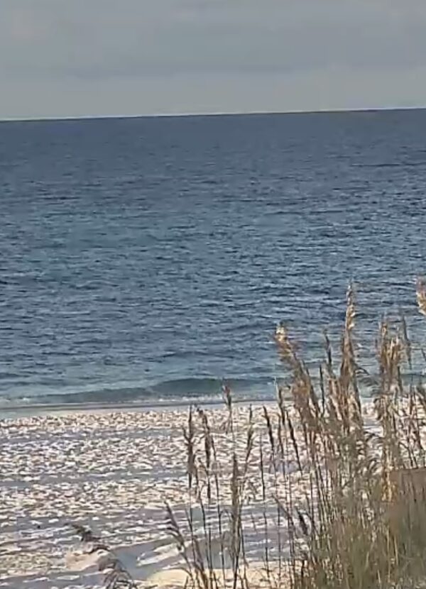 Monday Morning 8/11/25