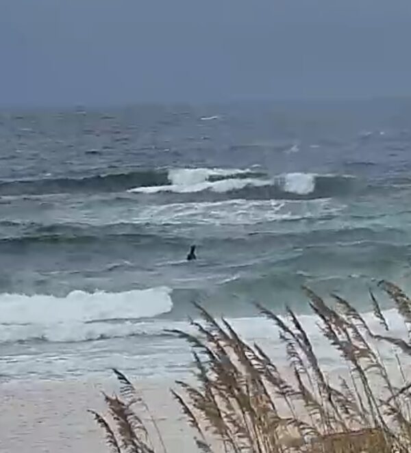 Wednesday Morning 8/13/25